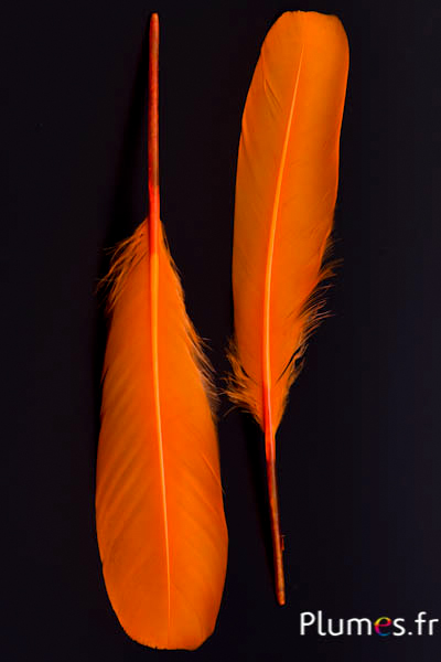Cygne Soie - 25-30 cm - orange